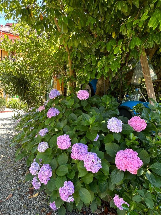 Комплекс Villa Residence Квариати Экстерьер фото